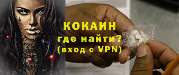 гашик Аркадак