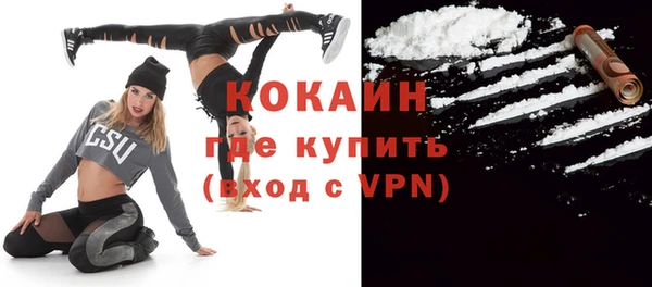 гашик Аркадак