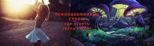 Альфа ПВП Армянск