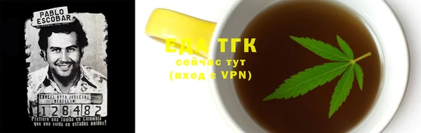 гашик Аркадак