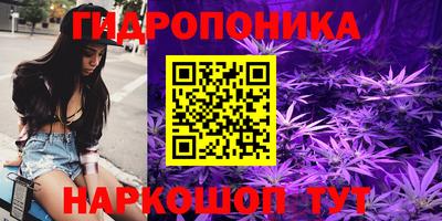 гашик Татарск