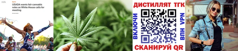 мориарти как зайти  гидра как войти  Петропавловск-Камчатский  Дистиллят ТГК вейп 