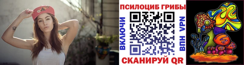 купить наркоту  Петропавловск-Камчатский  Галлюциногенные грибы MAGIC MUSHROOMS 