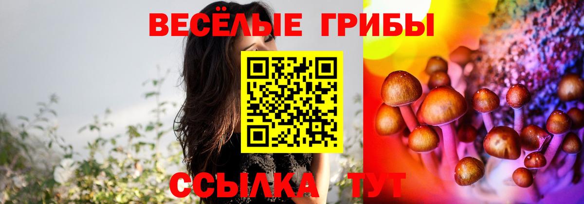 Галлюциногенные грибы GOLDEN TEACHER  цена наркотик  Петропавловск-Камчатский  Вход с VPN 